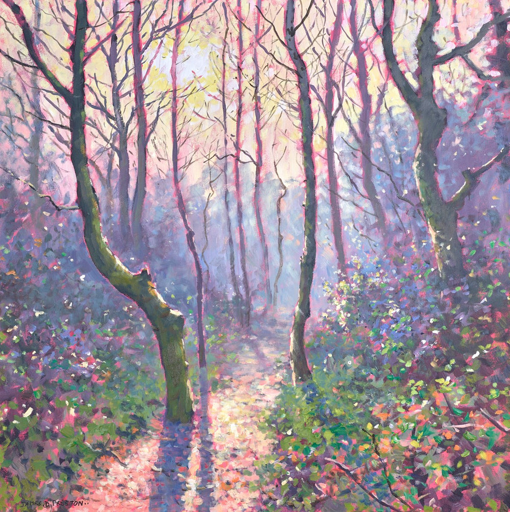 Winter Wood (first light)
