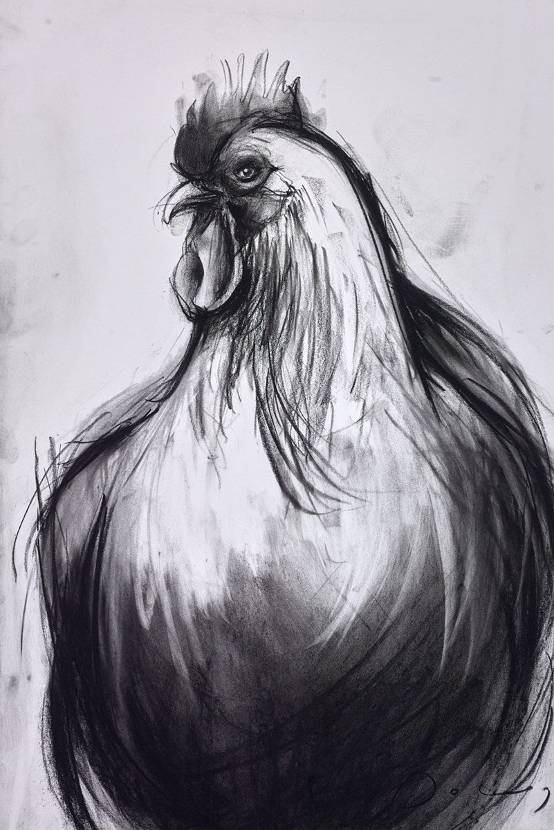 Cockerel
