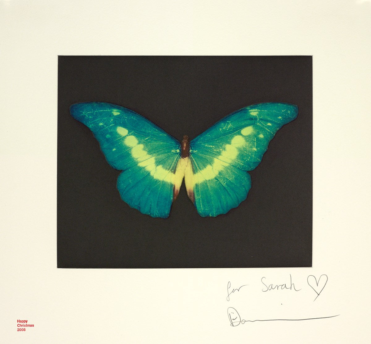 Green Butterfly, 2008