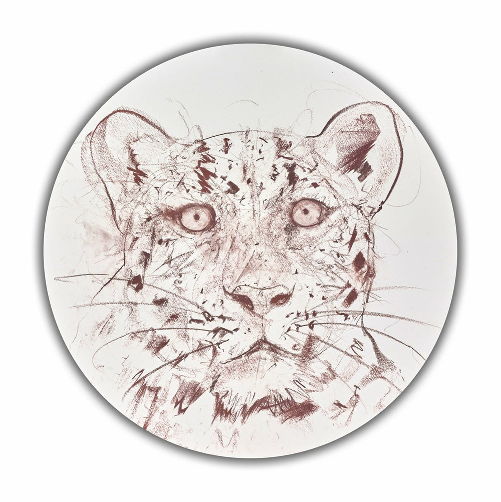 Amur Leopard Sketch VII
