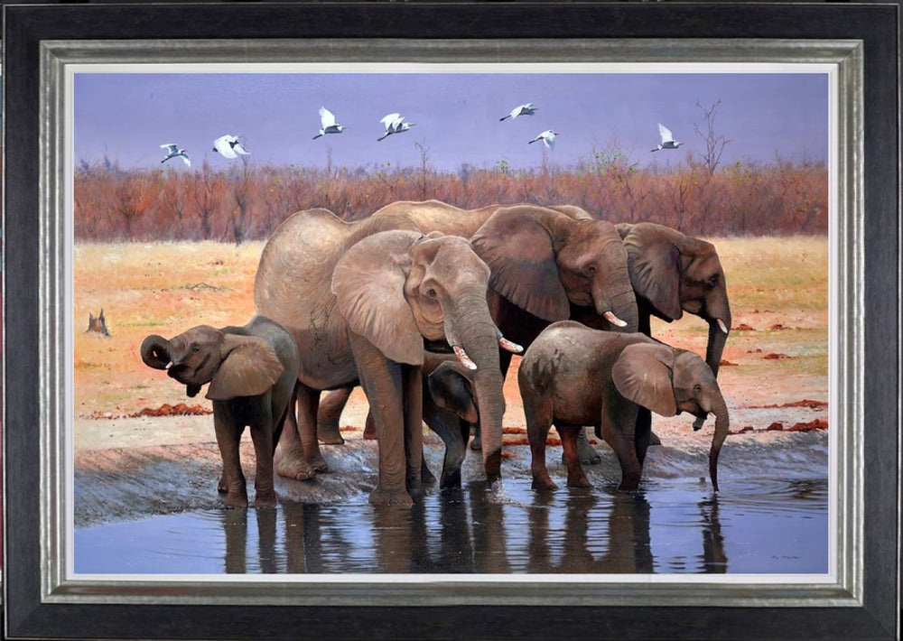 Marabou Pan, Botswana (Framed)