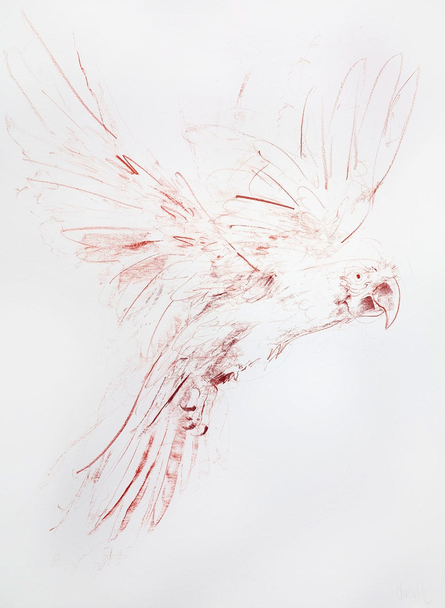 Flight Study I