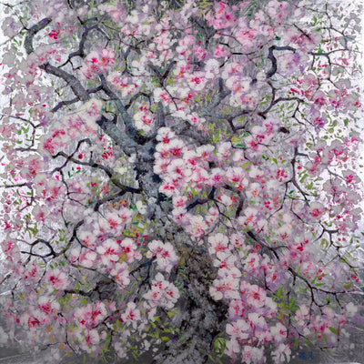 Hanami Silver