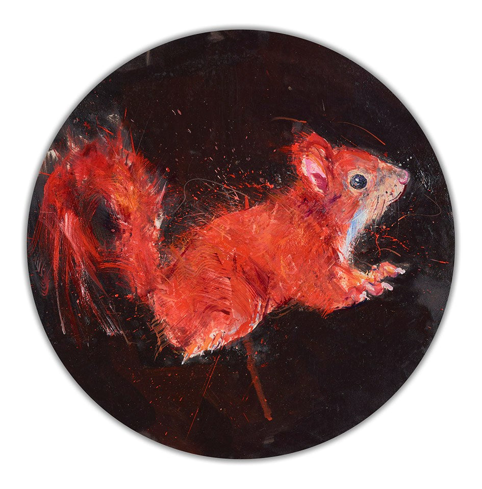 Red Squirrel Study