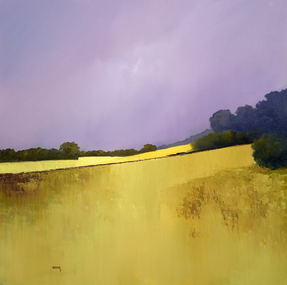 Fields of Corn