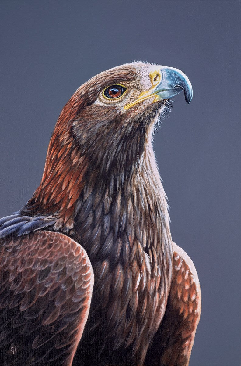 Eagle