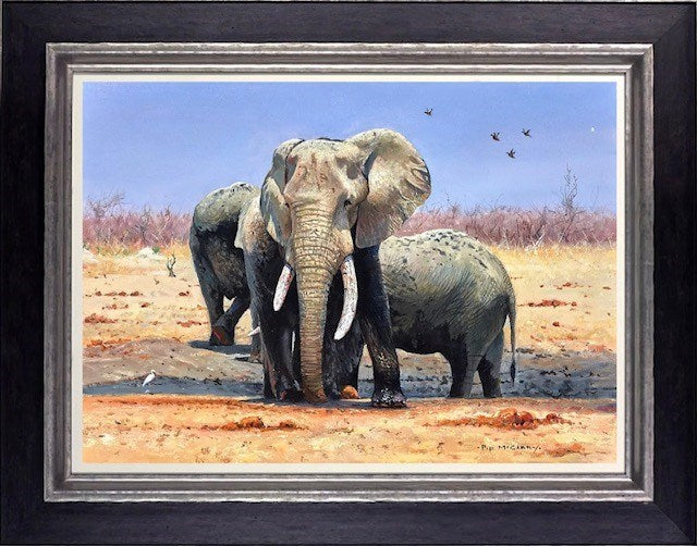 Conference at Marabou Pan (Framed)