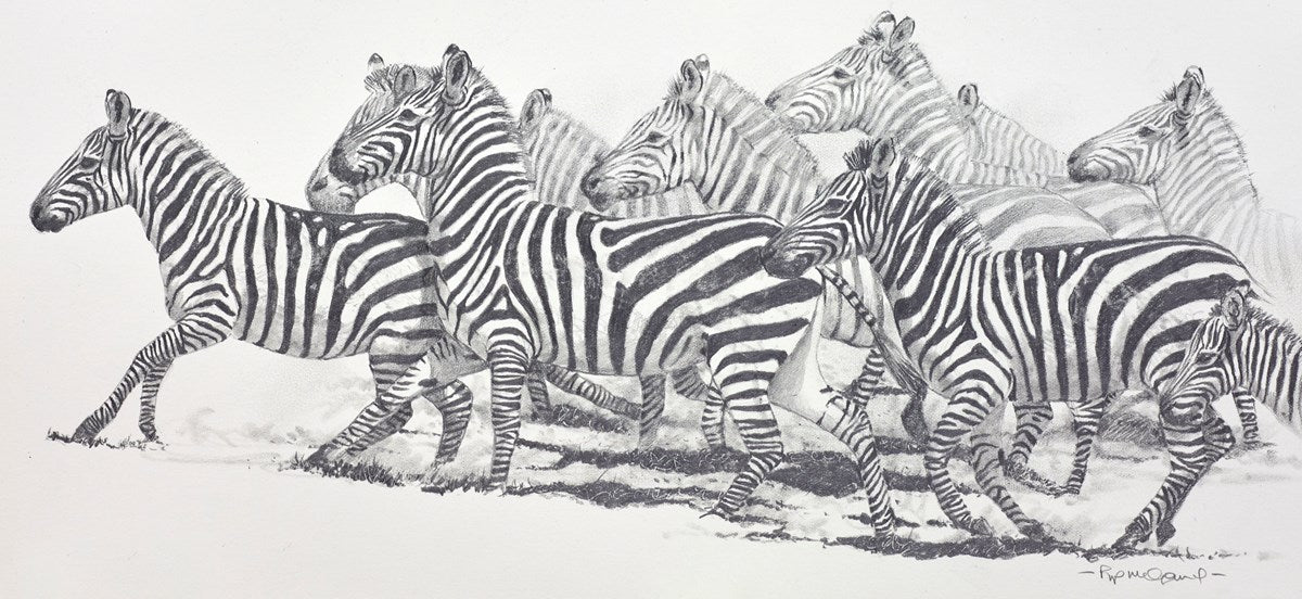 Stripes