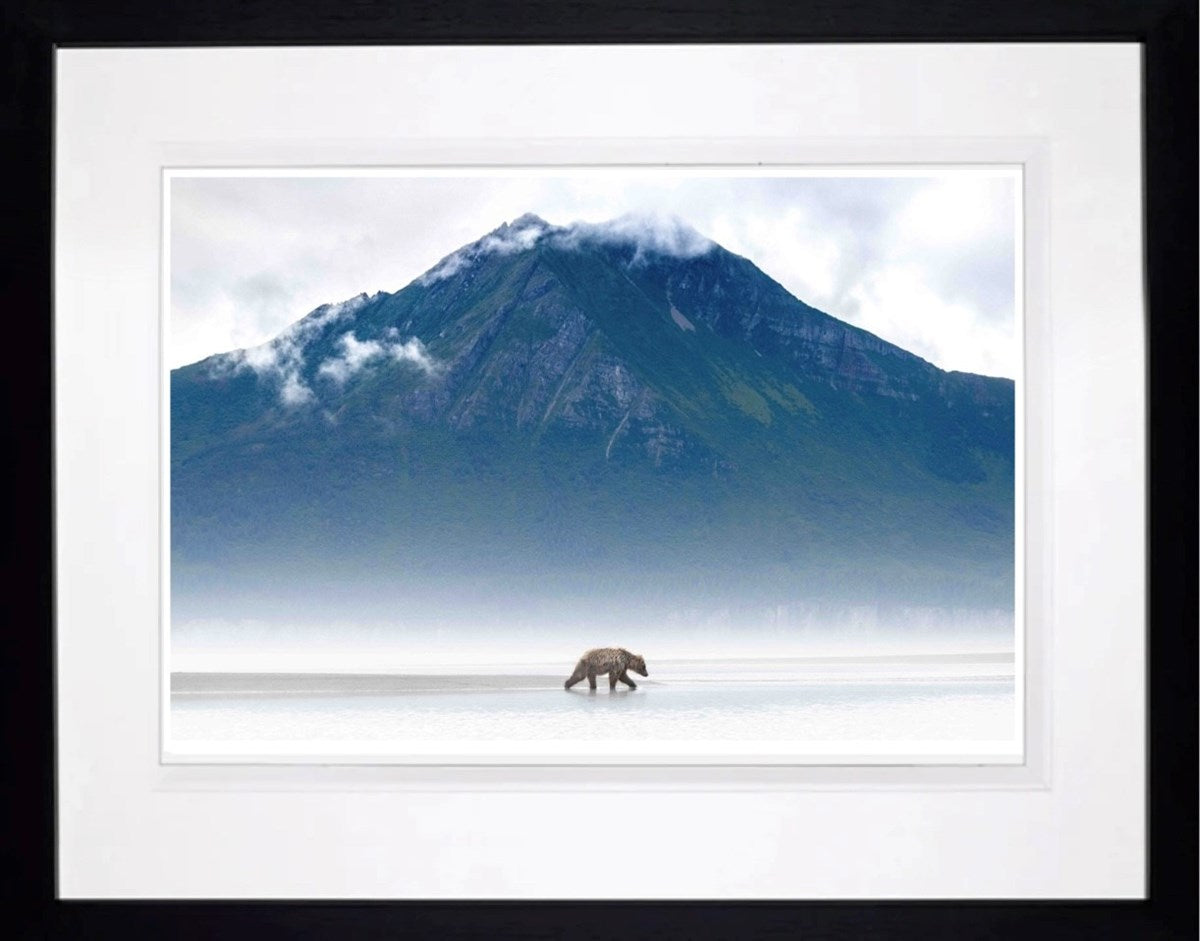 Mists of Time (Framed)