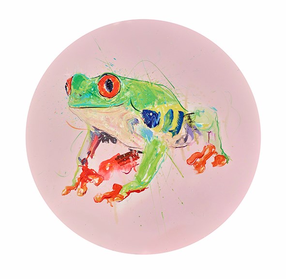 Tree Frog V