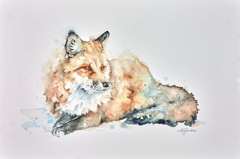 Resting Fox