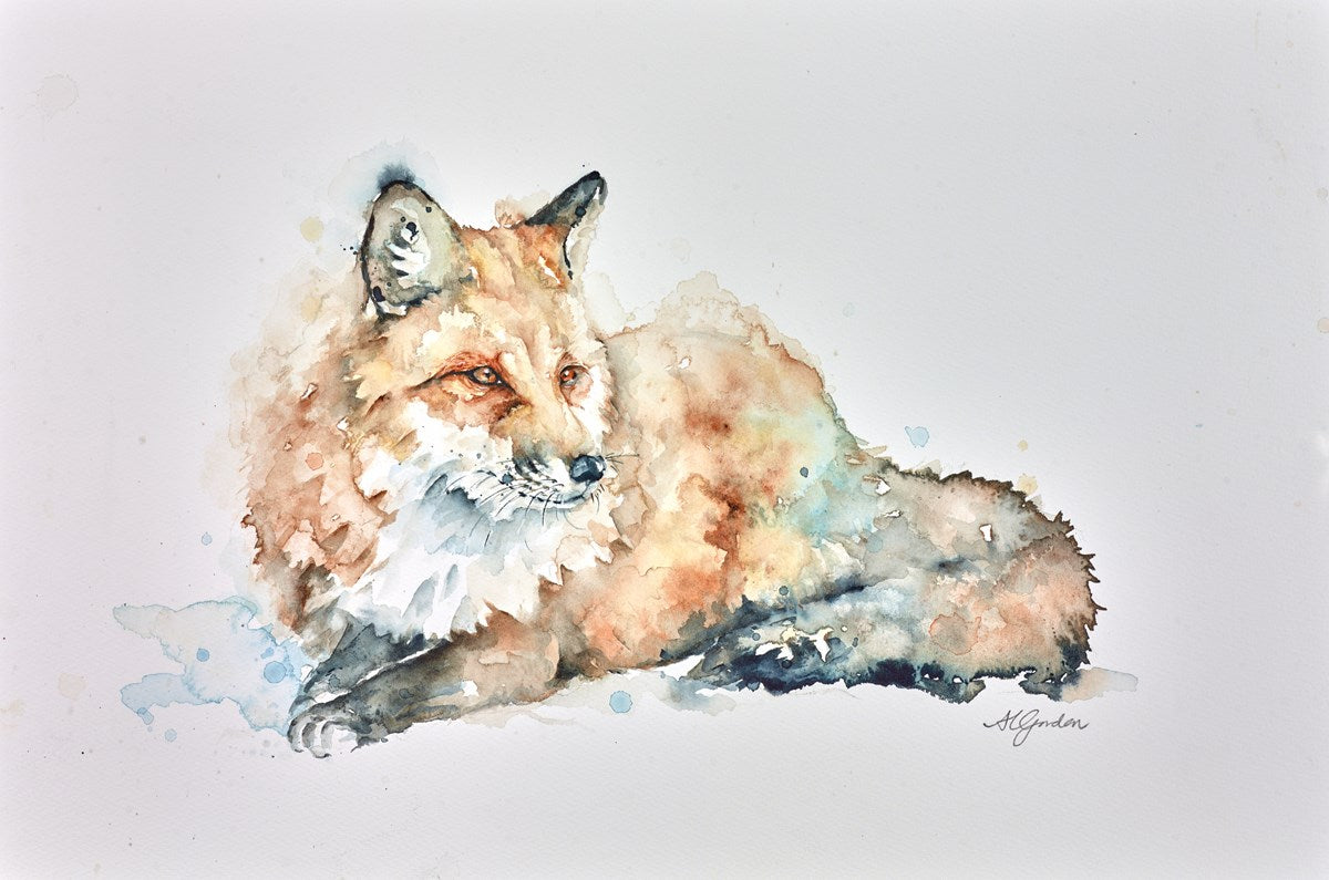 Resting Fox