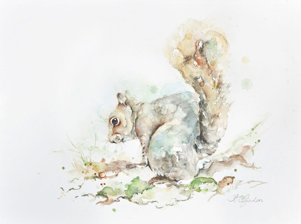 Faraging - Gray Squirrel