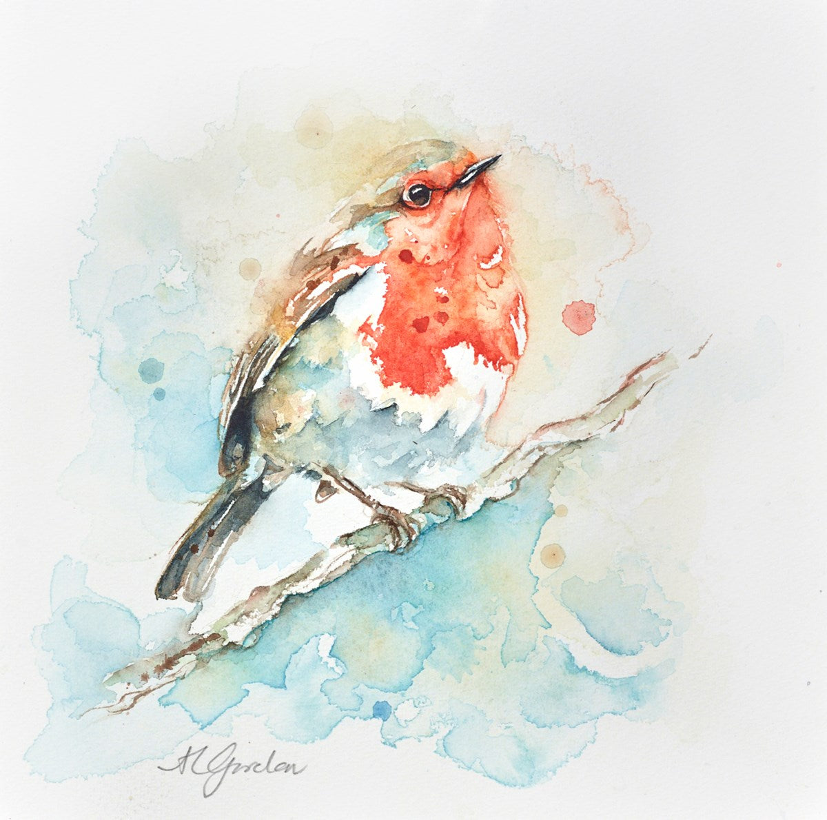 Mini Robin