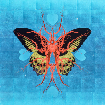 Leaf Butterfly - Sapphire