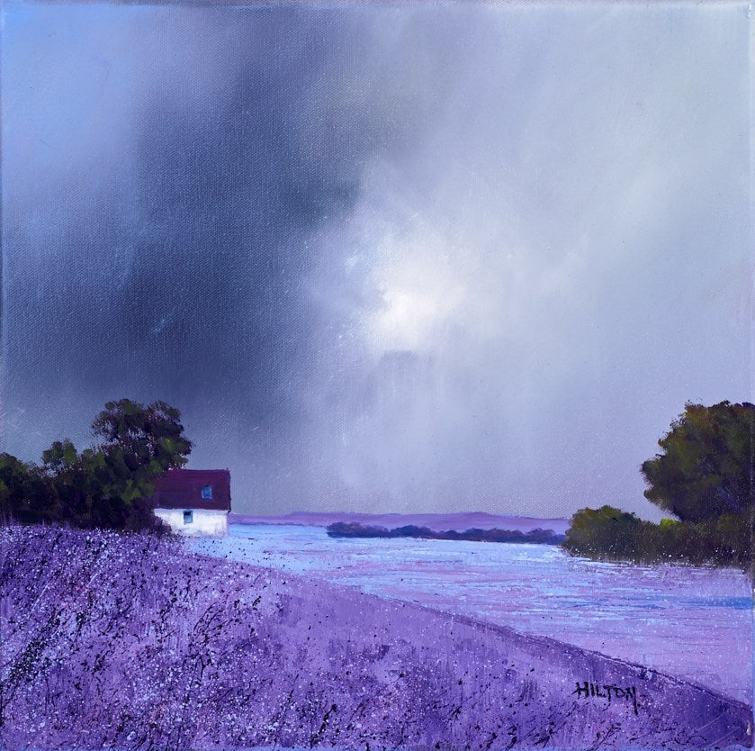 Lavender Valley