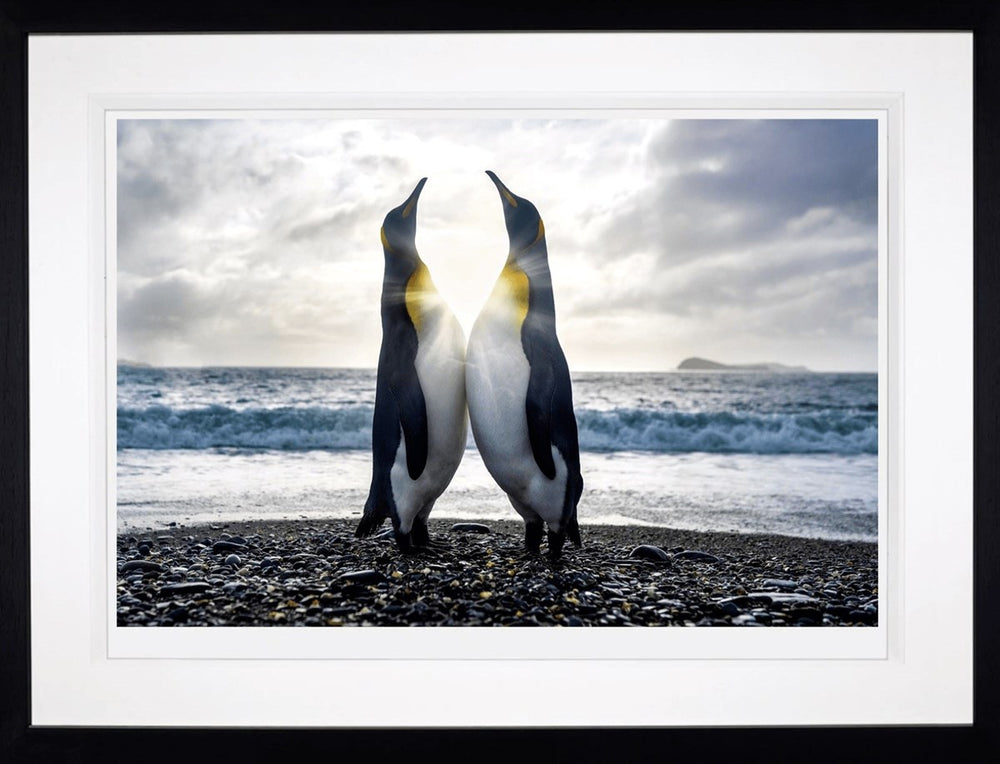Dare to Hope (Framed)