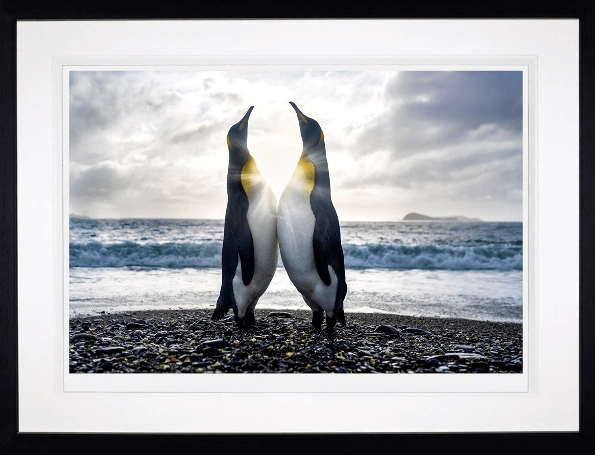 Dare to Hope (Framed)