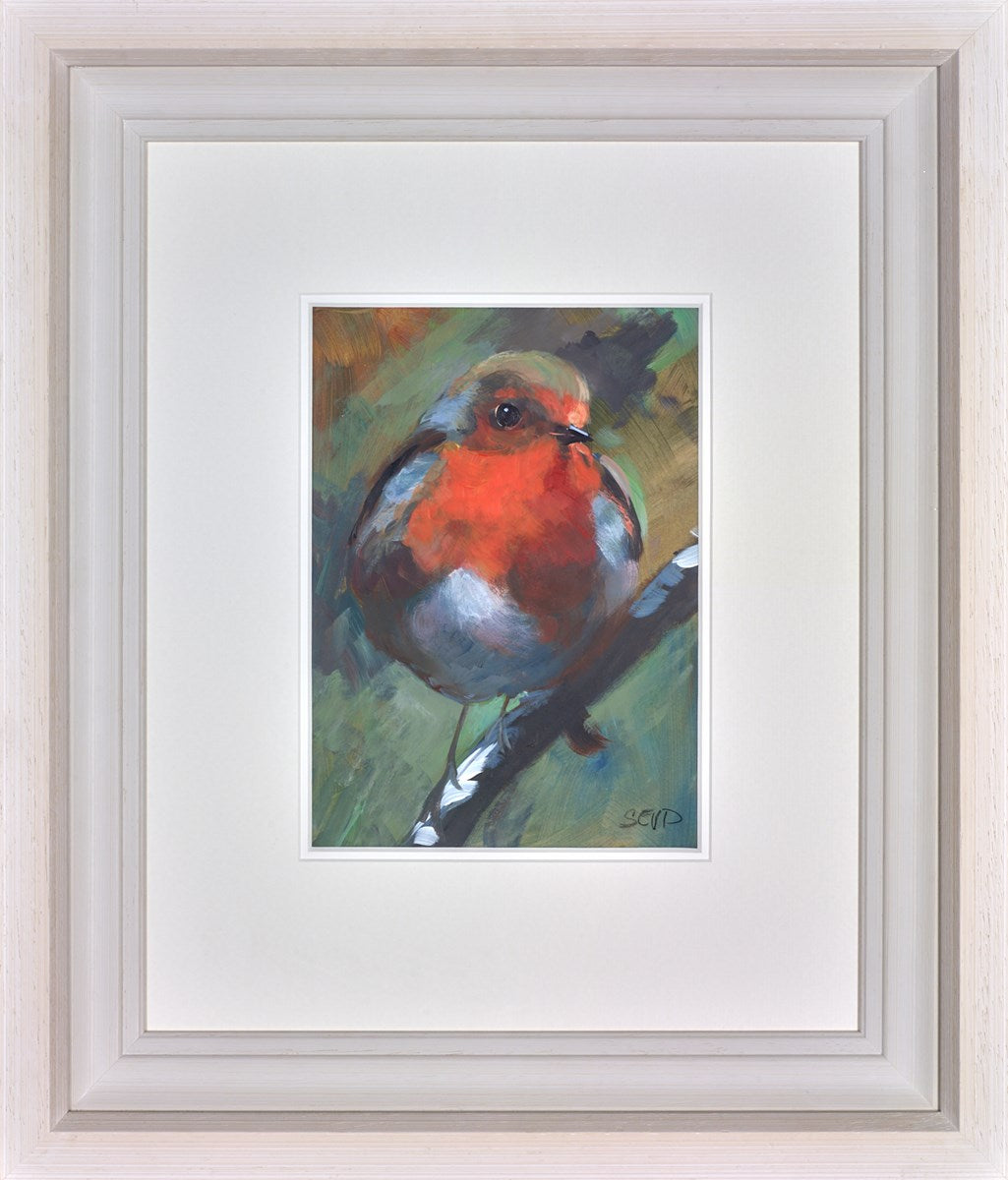 Robin Red Breast