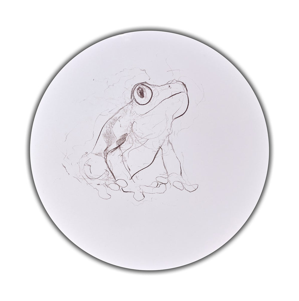 Tree Frog Study II