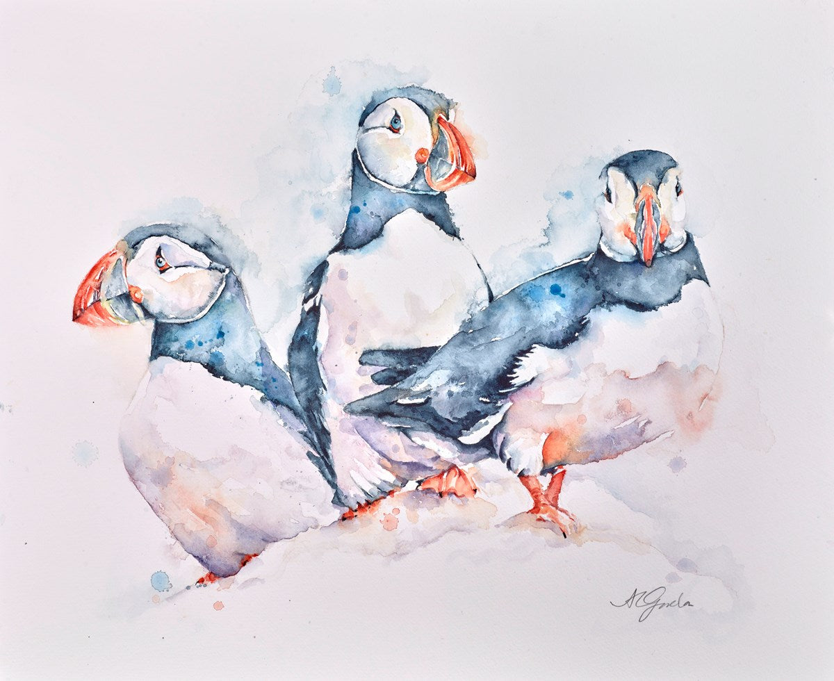 Puffin Trio