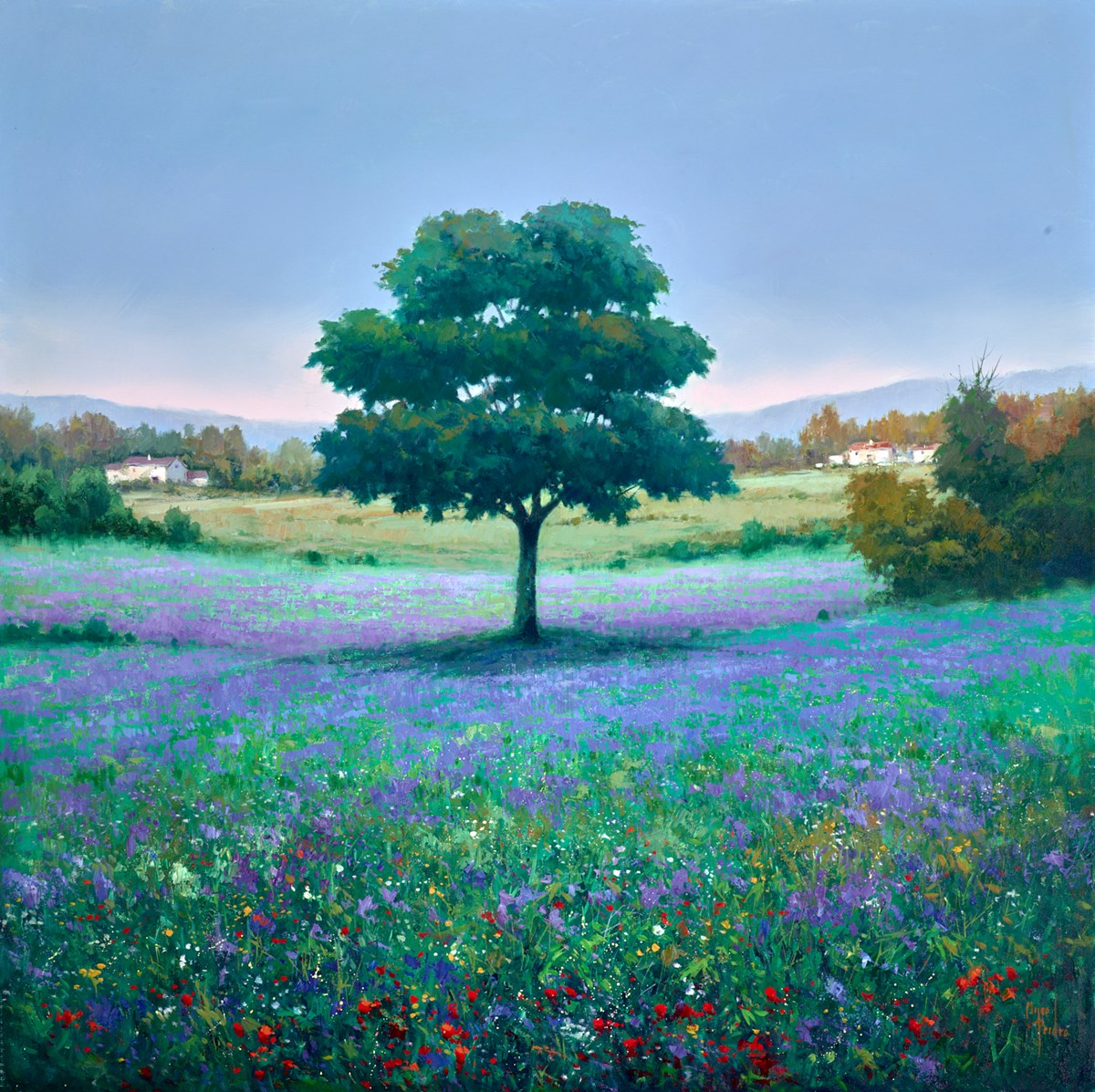 Campo De Lilas