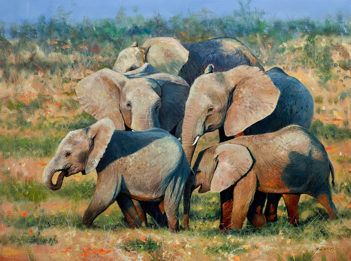Elephant Evening