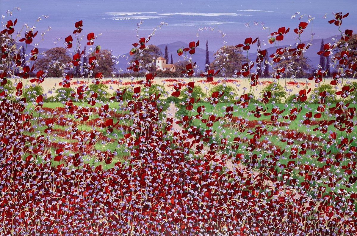 Summer Poppies IV