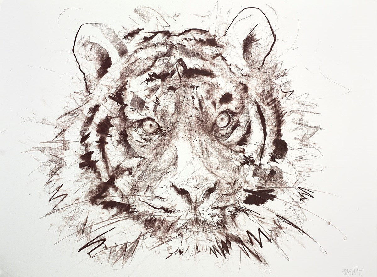 Tiger V (Study)