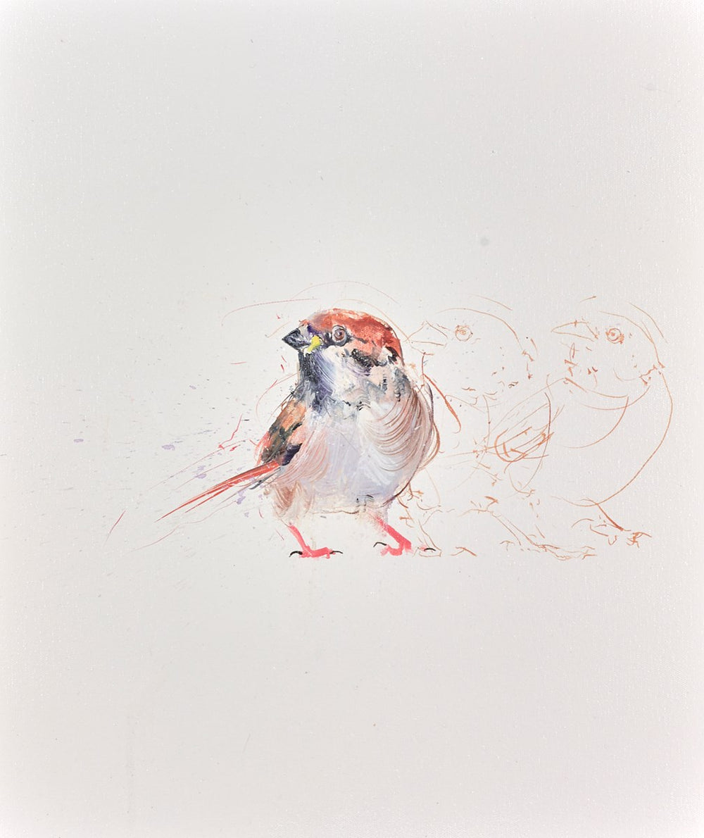 Sparrow