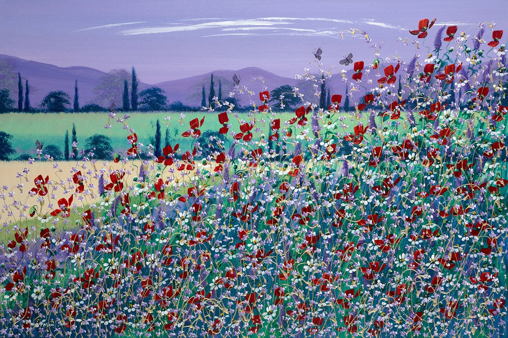Poppies and Summer