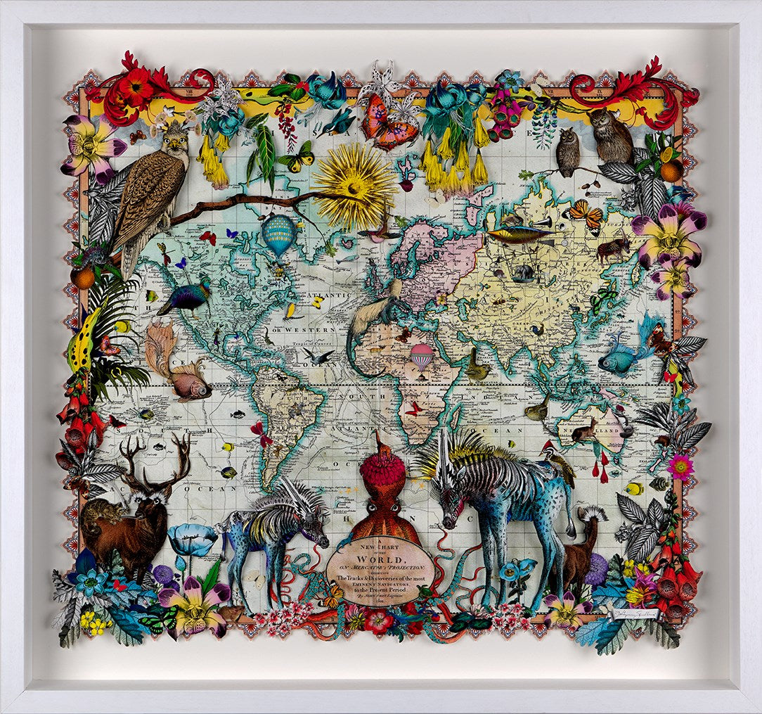 Navigators Hybrid 3D - Zebra Discoveries of the world (large)