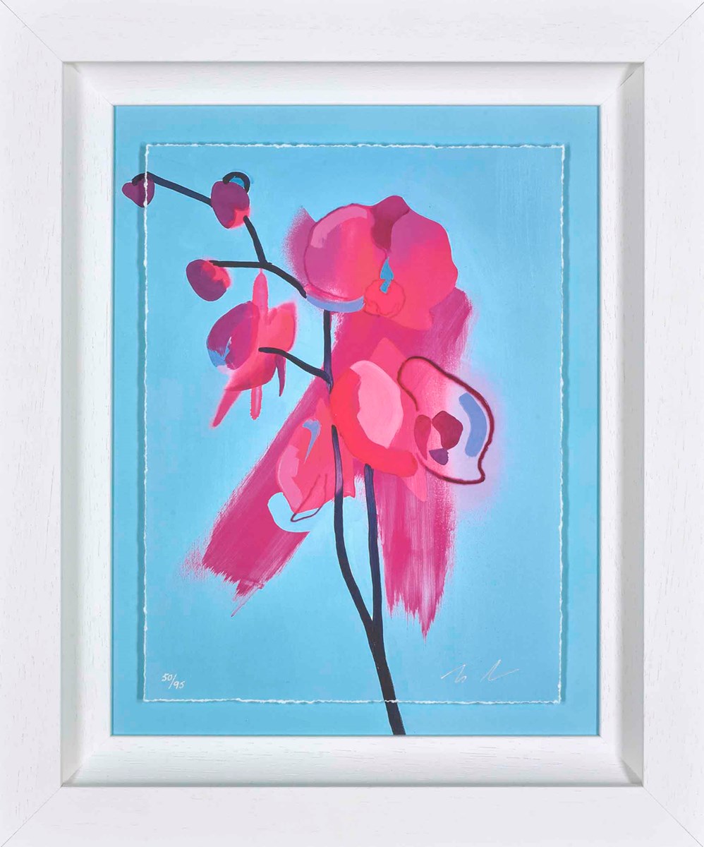 Enchant (Framed)