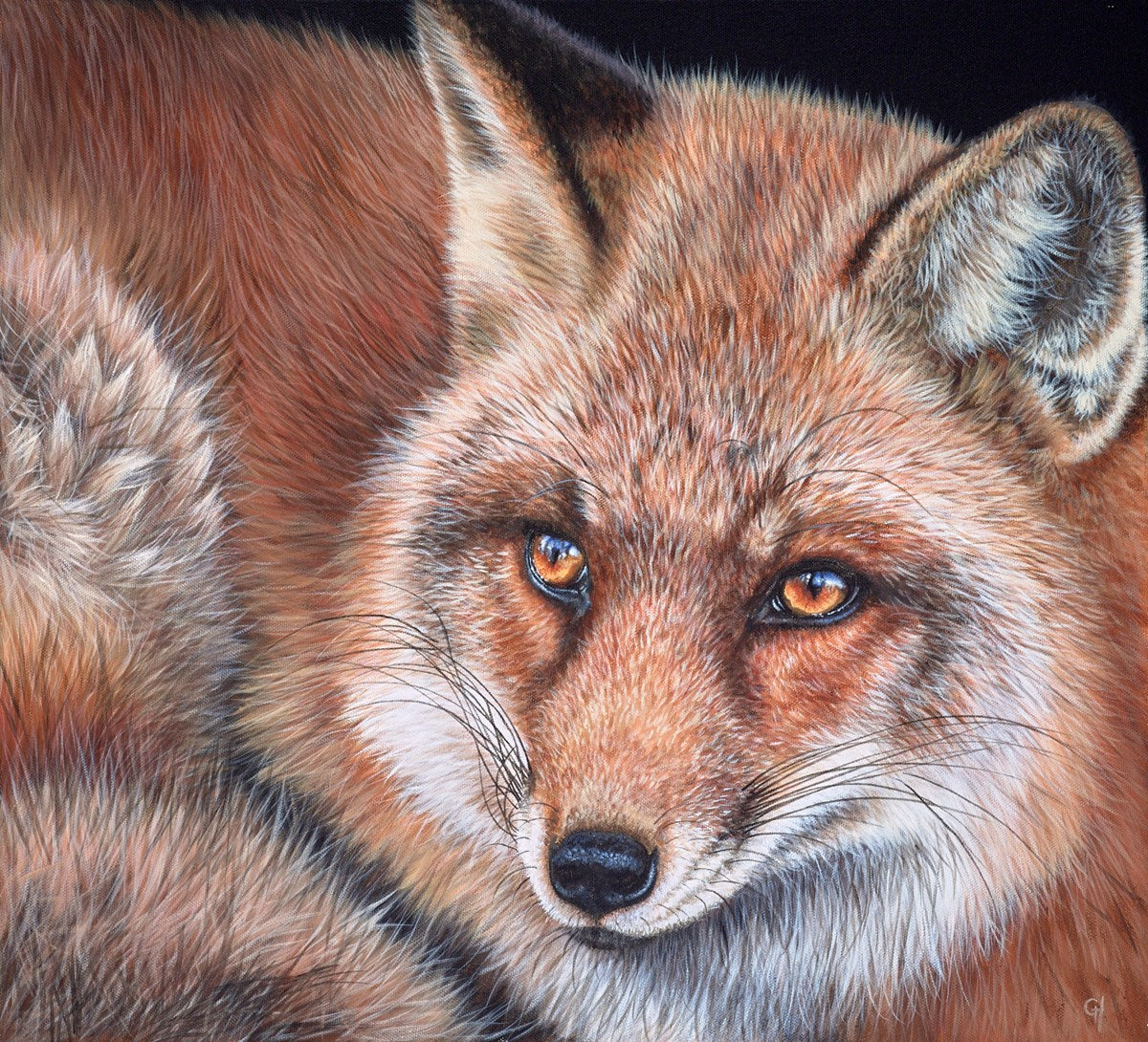 Watching Fox
