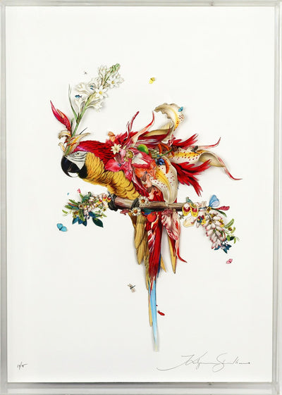 Botanical Harry Gin Bird II (Framed)