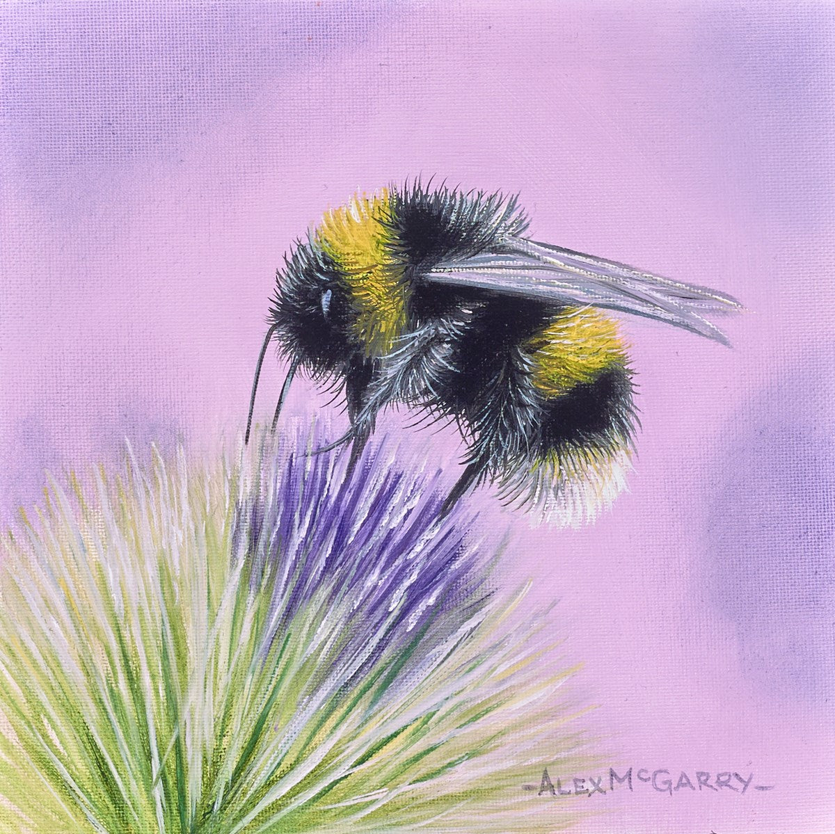 Bumble Bee