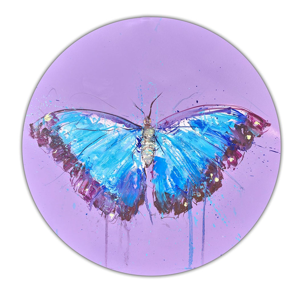 Morpho Butterfly (study)