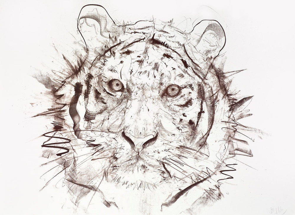 Tiger Study I