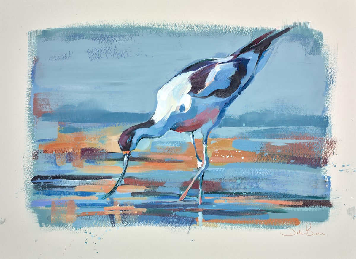 Oyster Catcher