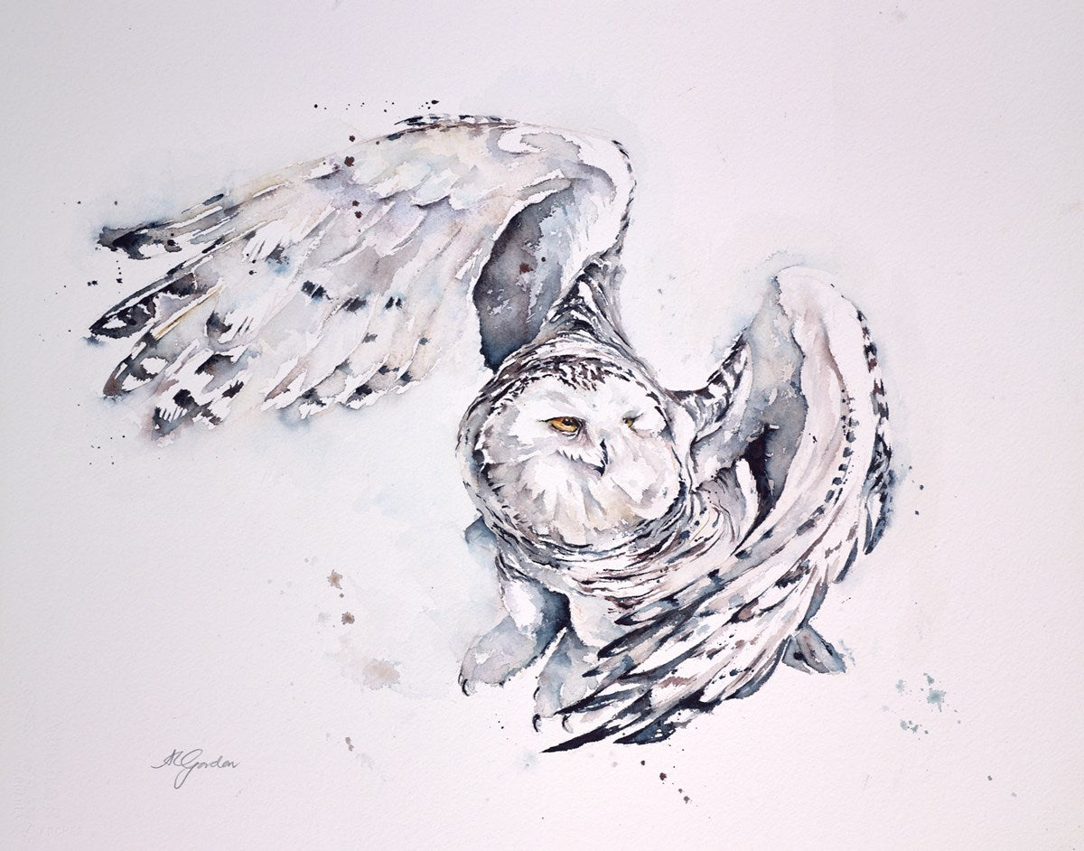 Snow Owl in Flight