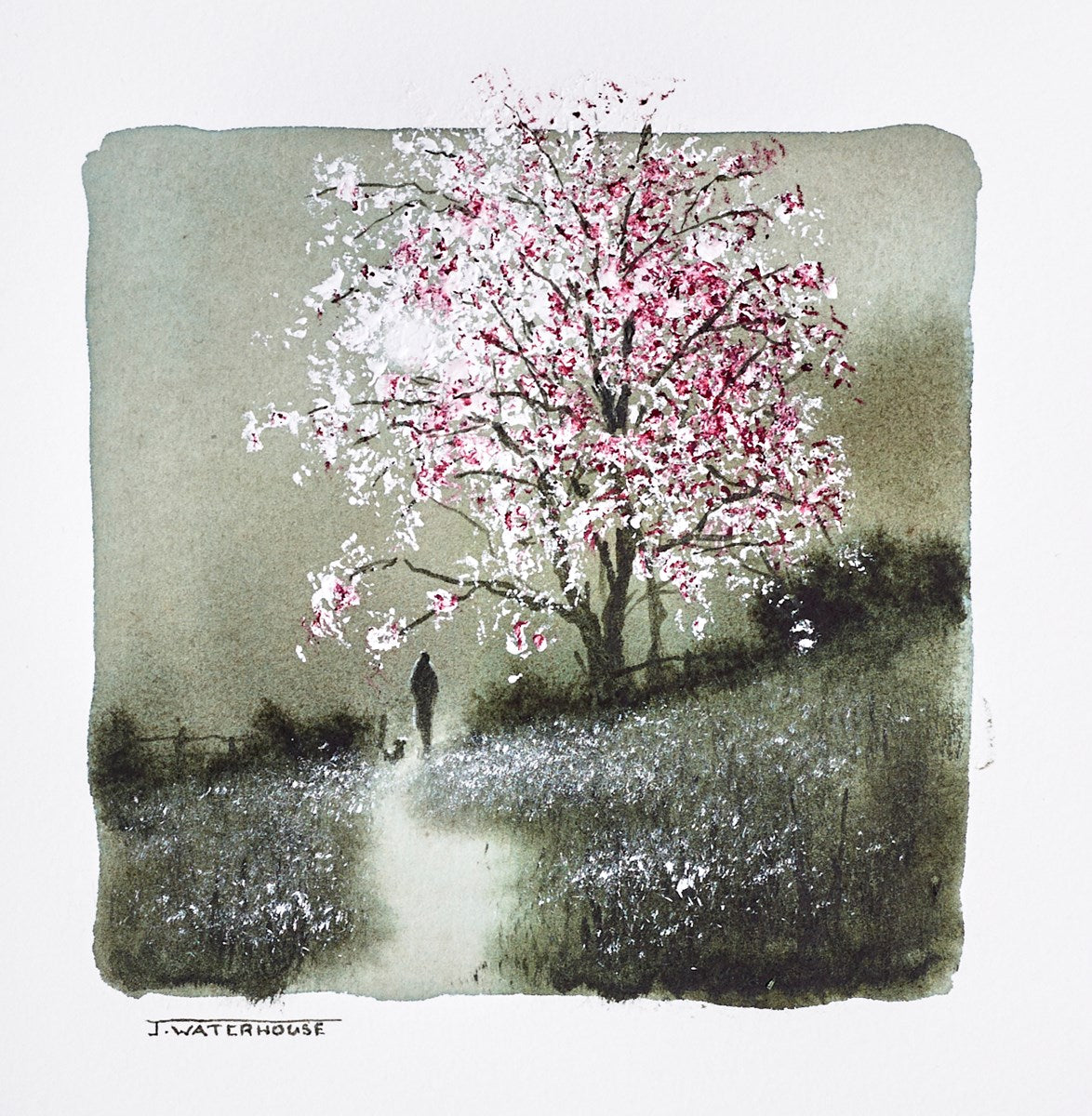 Beyond the Fairy Tree