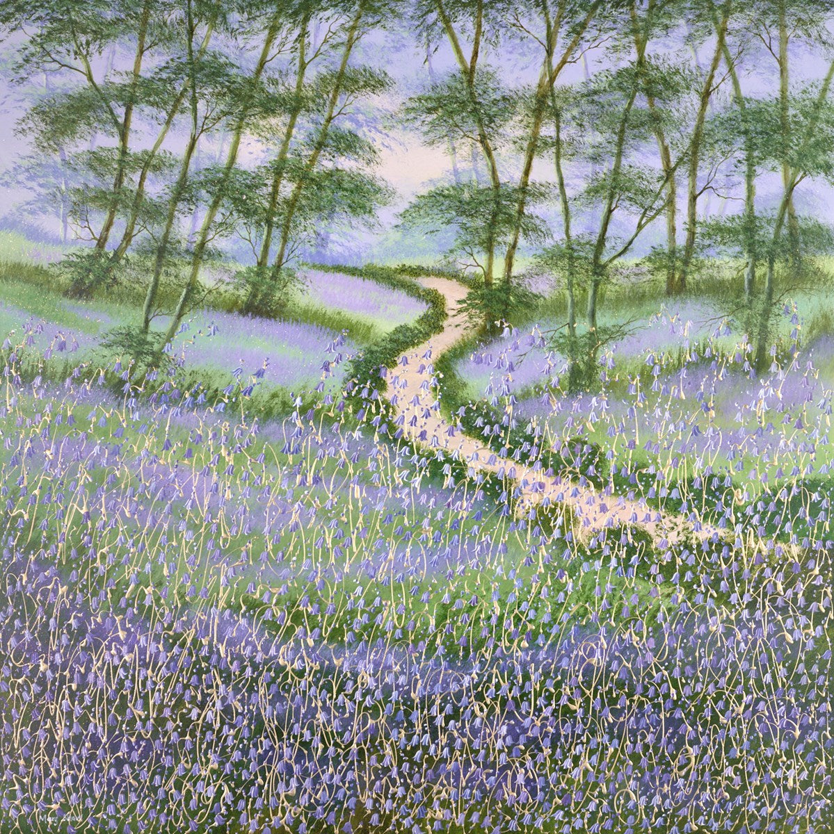 Woodland Bluebells III