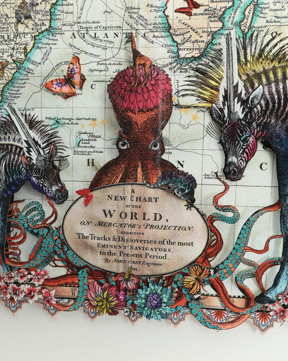 Navigators Hybrid 3D - Zebra Discoveries of the world (Detail2)