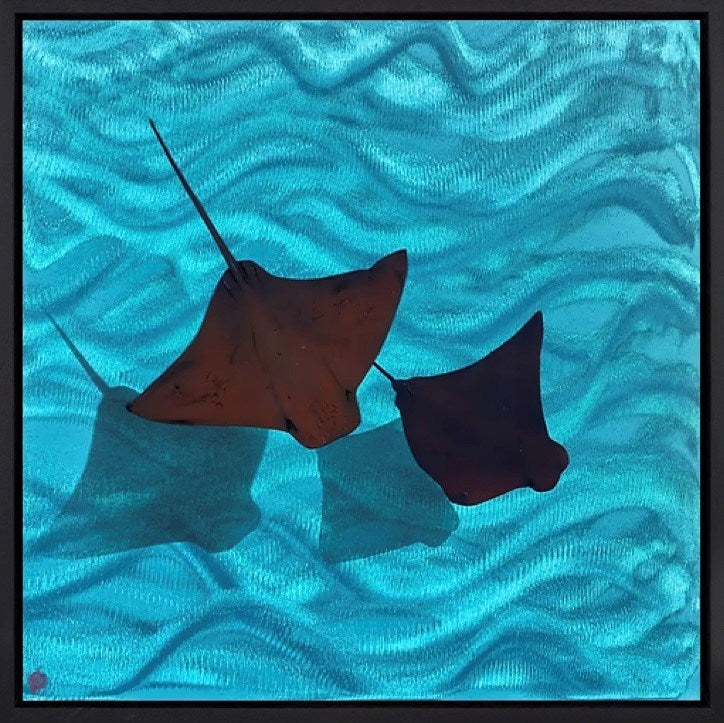 Flight of Two (Framed)