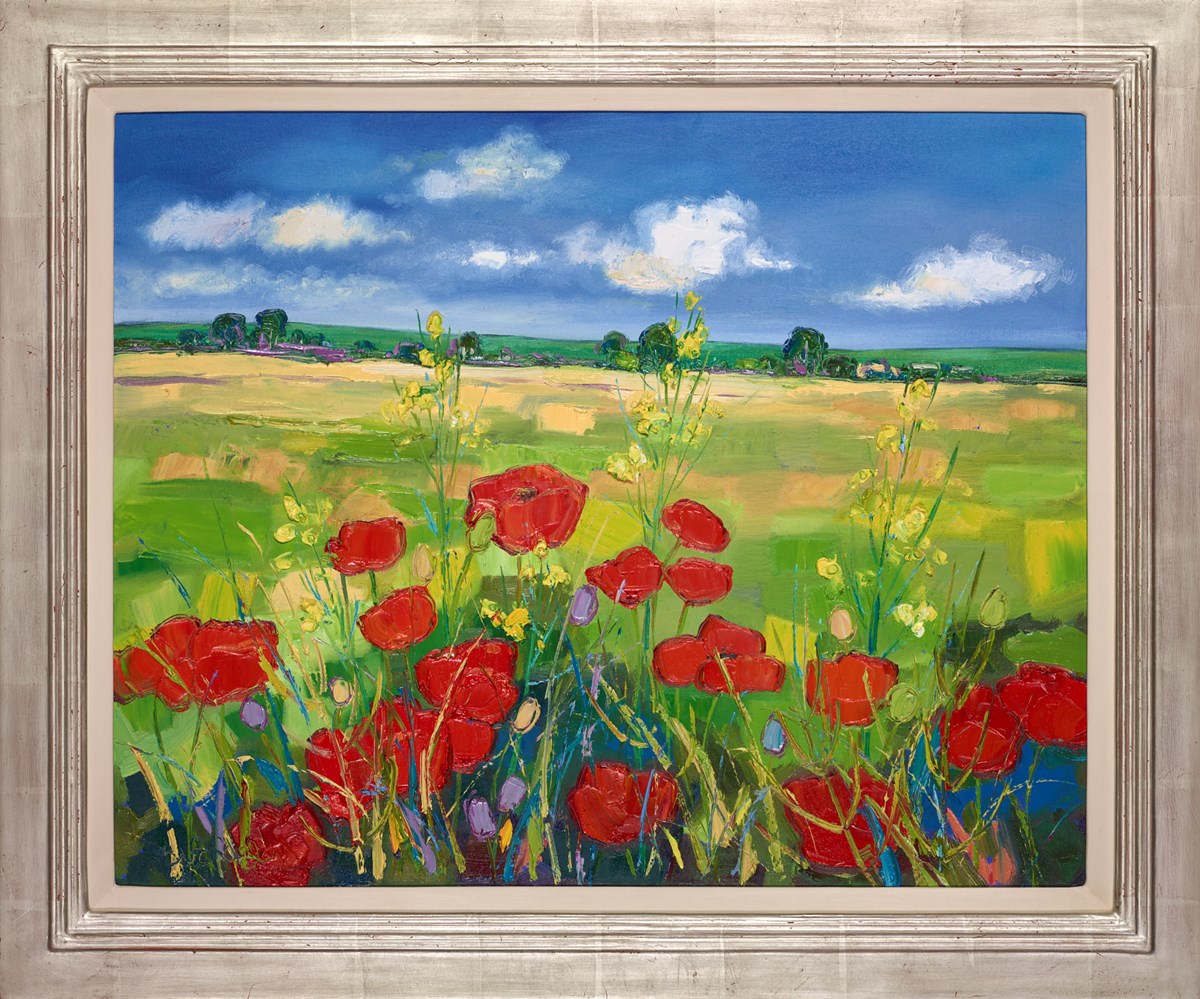 Poppy Fields With Yellow Flowers Near York