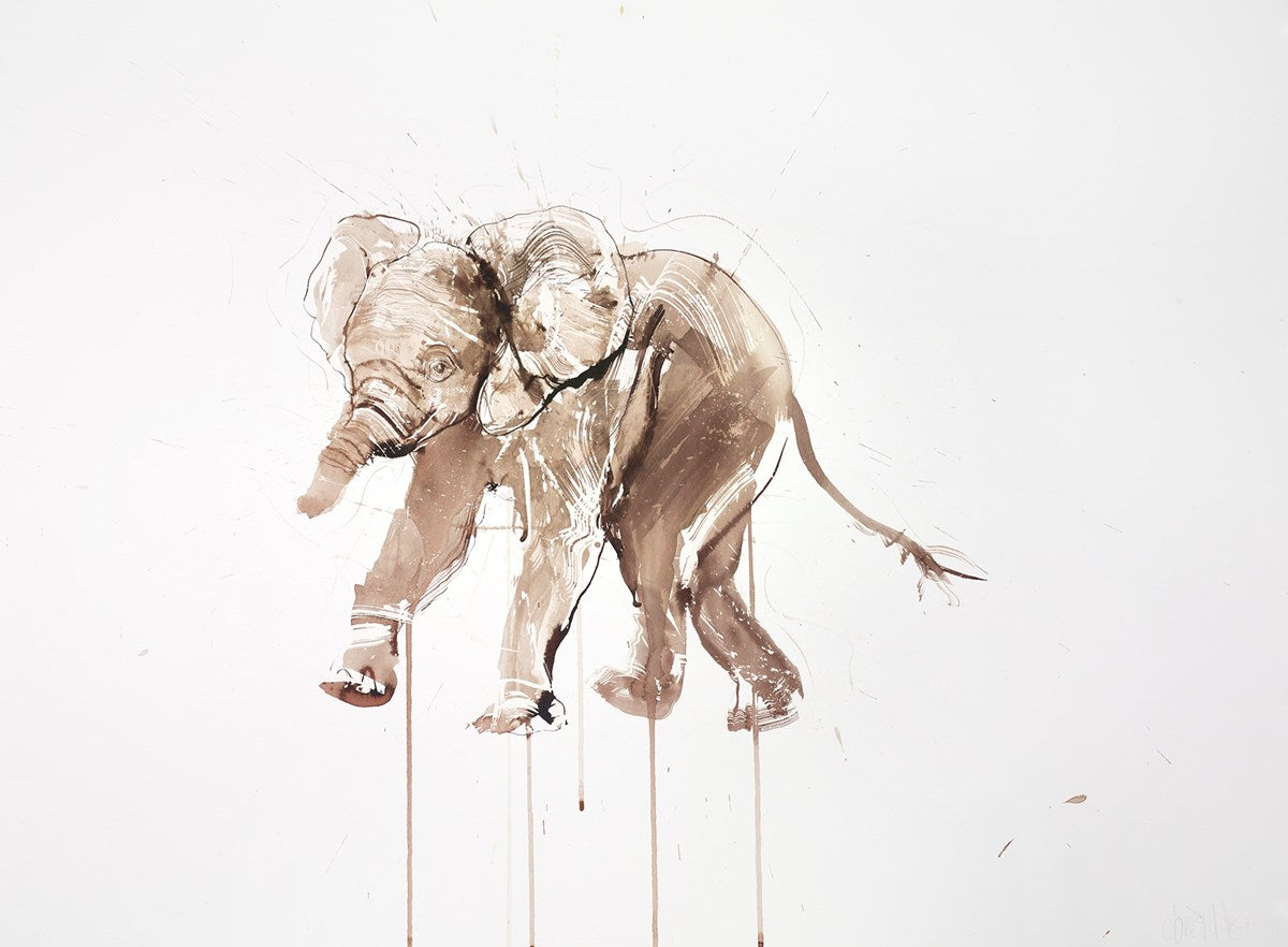 Baby Elephant Ink Study