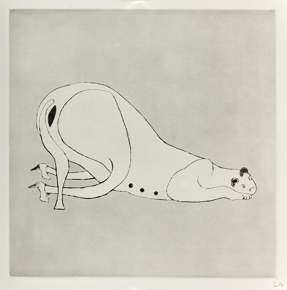 Plate 1 from Metamorfosis