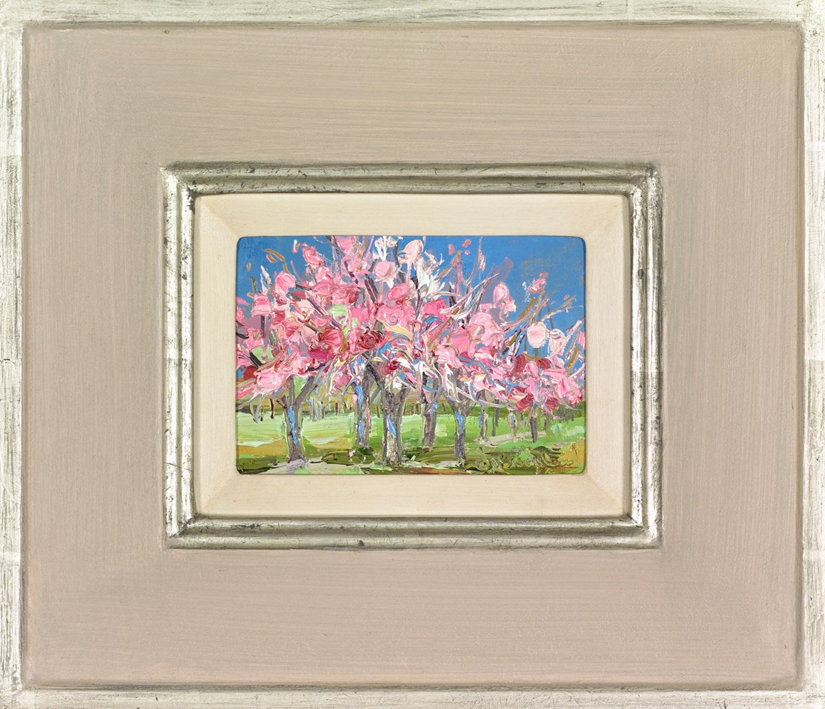 Cherry Blossom Time