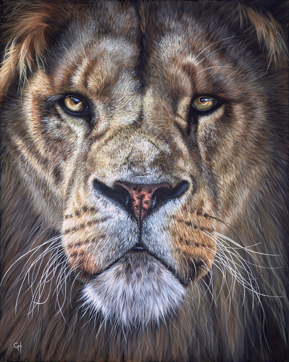 Lion II