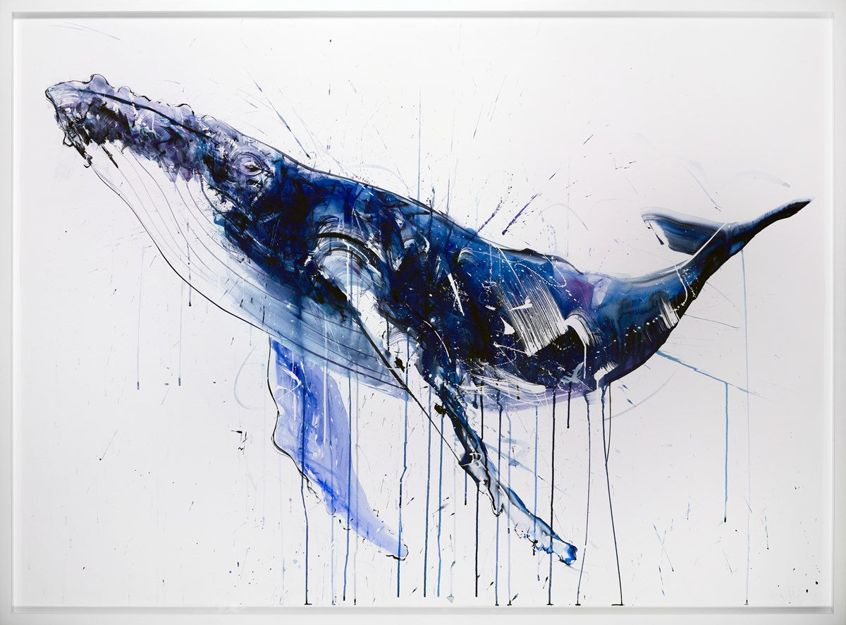 Humpback Whale II
